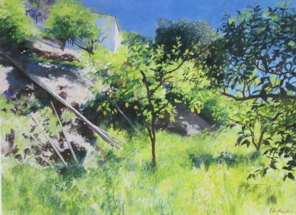 James Crittenden PS Lemon Tree Pastel 27 x 37 "
