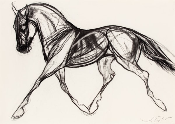 Jo Taylor Floating Horse Charcoal 23 x 33 "