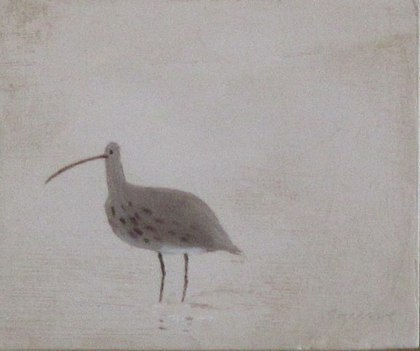 Andrew Squire Curlew Oil on board 5 x 6 "