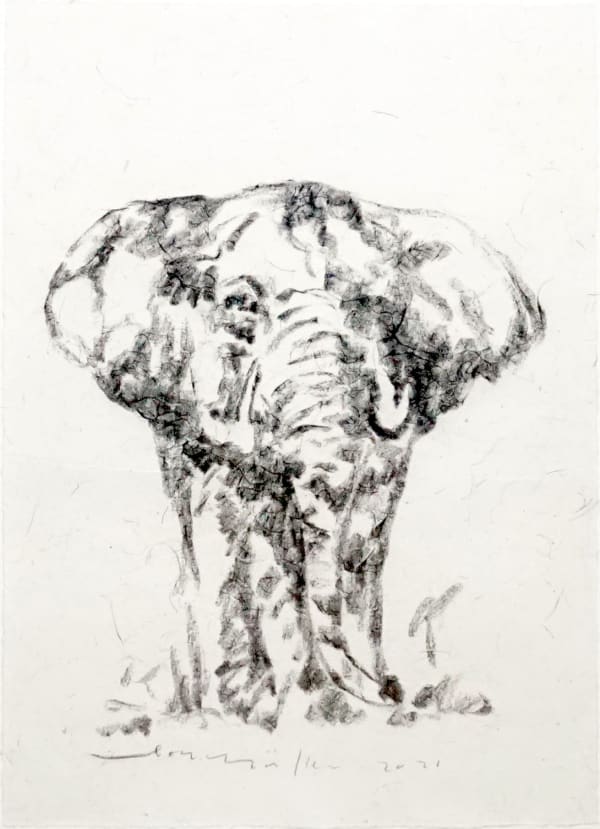 Leon Müller Bull Elephant, 2021 Charcoal on handmade coconut fibre paper 30 x 21 "