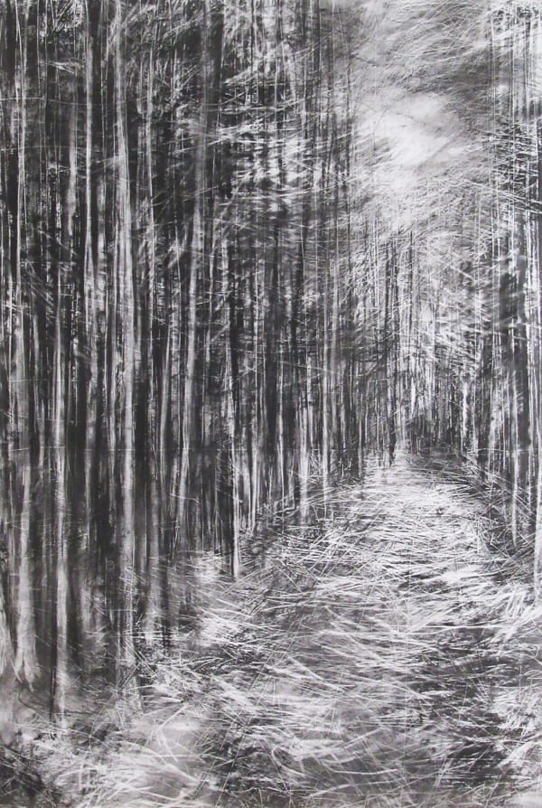 Janine Baldwin PS Cropton Forest IV Charcoal and graphite on paper 32 x 22 "