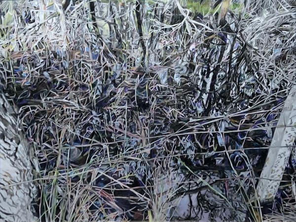 Patricia Paolozzi Cain RGI NEAC ARWS PS PhD The Map I Coloured pencil on paper 24 x 32 "