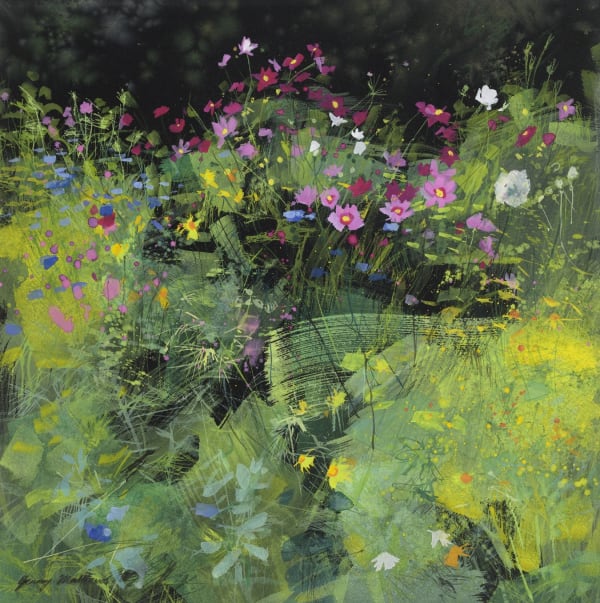 Jenny Matthews RSW Twilight Cosmos Watercolour 21.5 x 21.5 "