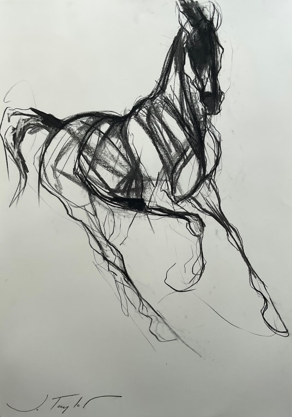 Jo Taylor Floating Horse Charcoal on paper 33 x 22 "