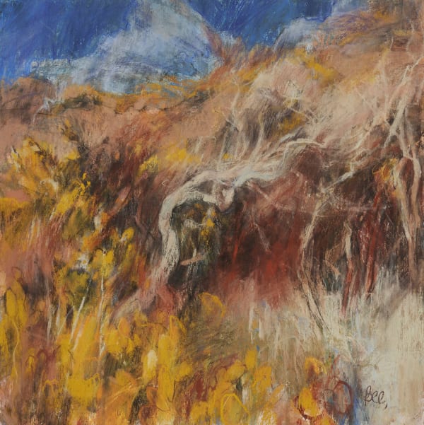 Sarah Bee PS Bolberry Gorse, 2022 Soft pastel 16 x 16 "