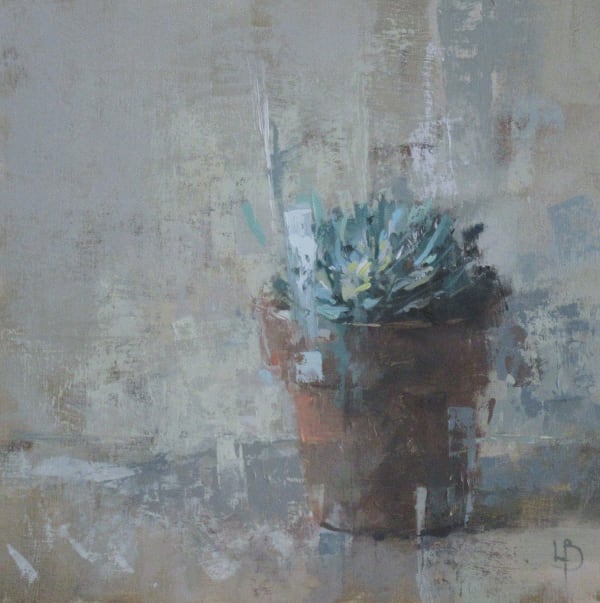Ollie Le Brocq Echeveria Oil on board 12 x 12 "