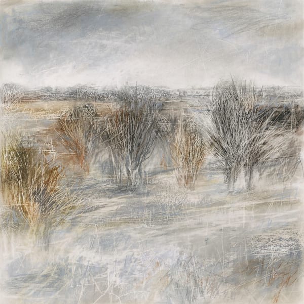 Janine Baldwin PS Bare Winter Trees pastel, charcoal and graphite on paper 18 x 18 "