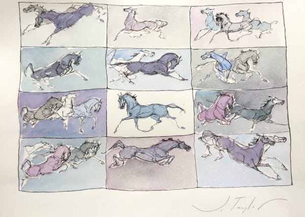Jo Taylor Horse Chaos Ink and wash 12 x 16 "