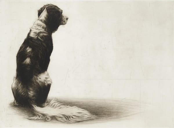 Helen Fay Phoebe Etching 19.5 x 27.5 "