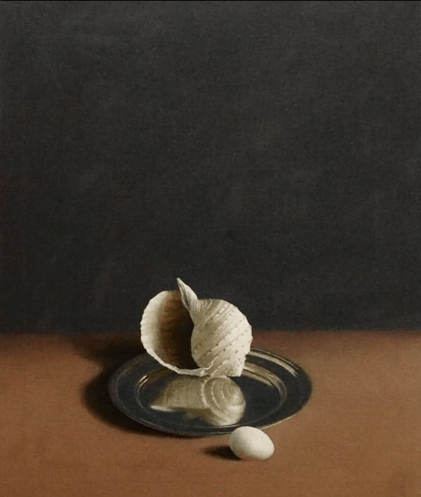 David Gleeson RI Three Shells Oil on canvas 24 x 20 "