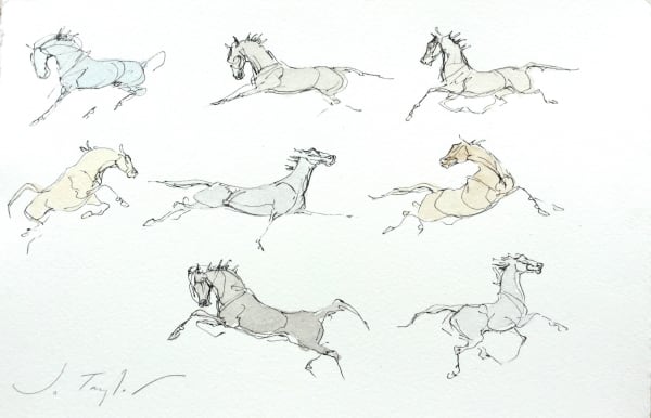 Jo Taylor Little Horses I Ink and wash 8 x 12 "