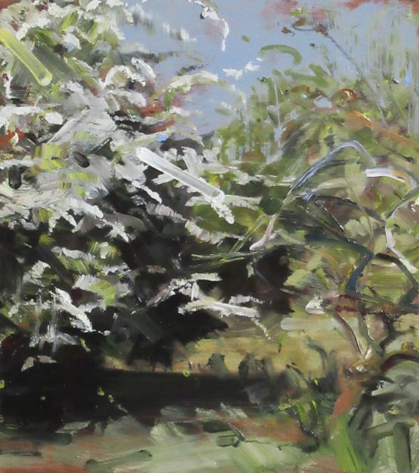 Kate Giles, Undercut, (Hawthorn and Apple, Edge of Orchard)