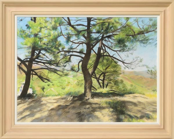 James Crittenden PS Pines Pastel 26 X 34 "