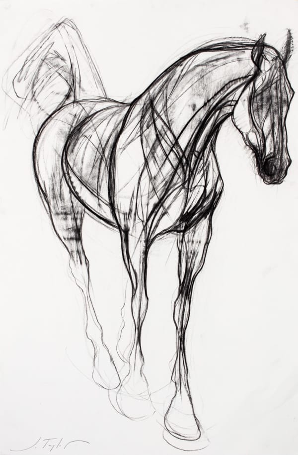 Jo Taylor The Soul Thief Charcoal 48 x 32 "