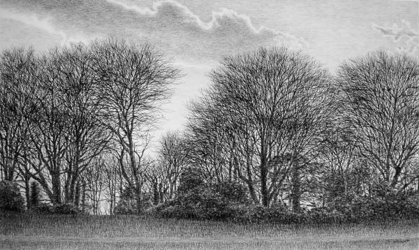 Roy Wright PS Sunset, 2022 Charcoal 24 x 40 "