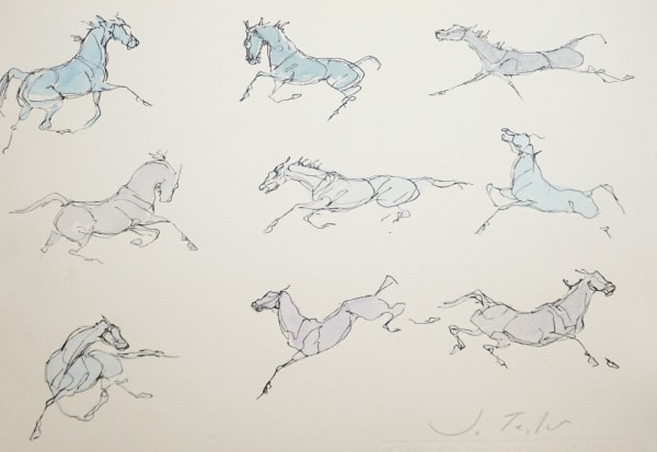 Jo Taylor Little Horses II Ink and wash 9 x 12 "