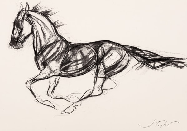 Jo Taylor Liberate Charcoal on paper 23 x 33 "