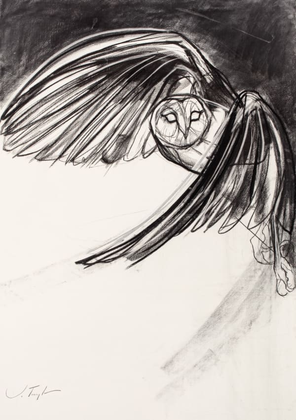 Jo Taylor Night Flight Charcoal 42 x 31 "