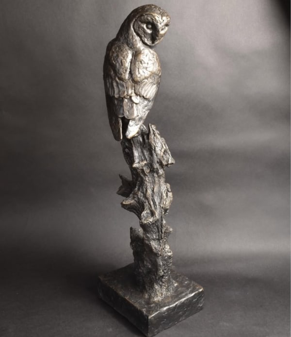 Elliot Channer, Barn Owl II