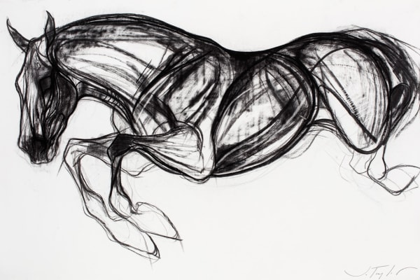 Jo Taylor Winged Horse Charcoal 33 x 48 "