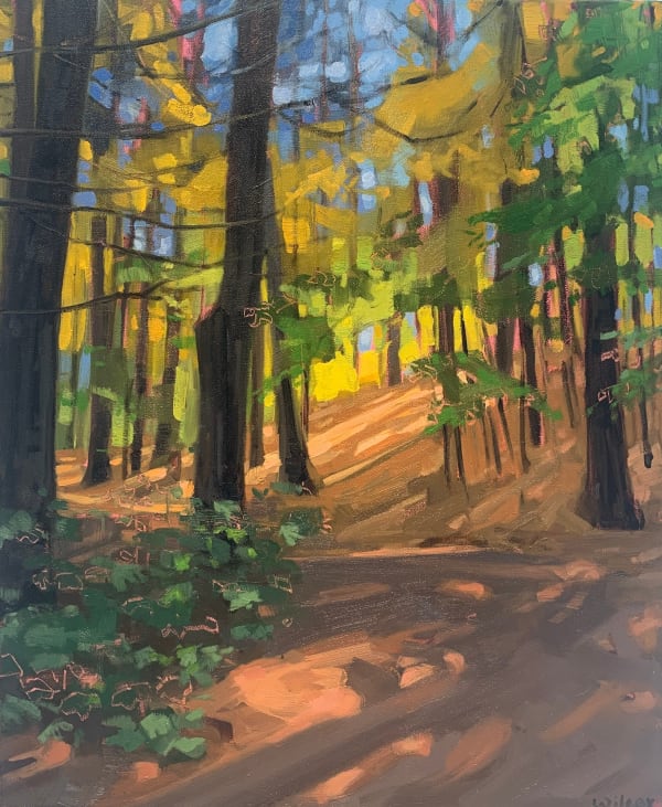 Rachel Wilcox, Among the Trees, 24"x 20"