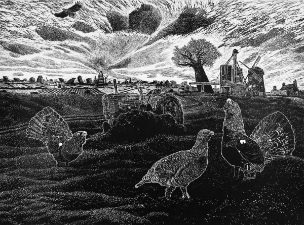 Ade Adesina , Peace, 2015