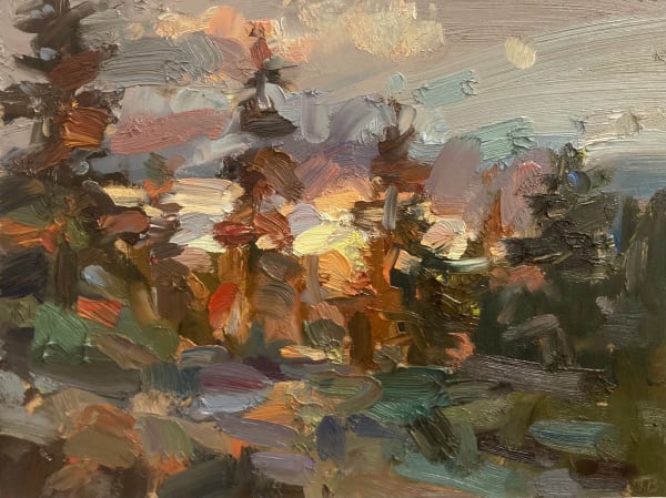 Tim Benson, Sunlight through the conifers, 2022