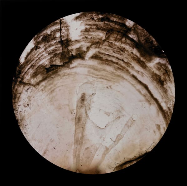 堅決的寬容心 I/III Unwavering Tolerance I/III