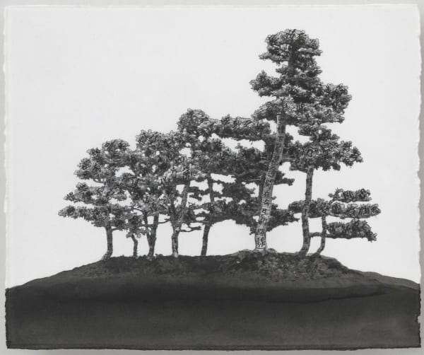 盆栽系列 II – VI Bonsai Series II – VI