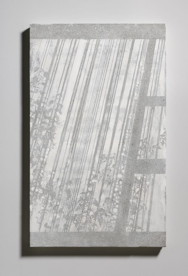 採光No. 26 Daylighting No. 26