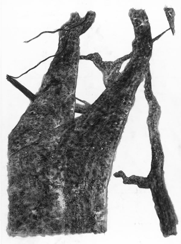 天女-何故去華? The Goddess - Why Shake Off the Flowers?