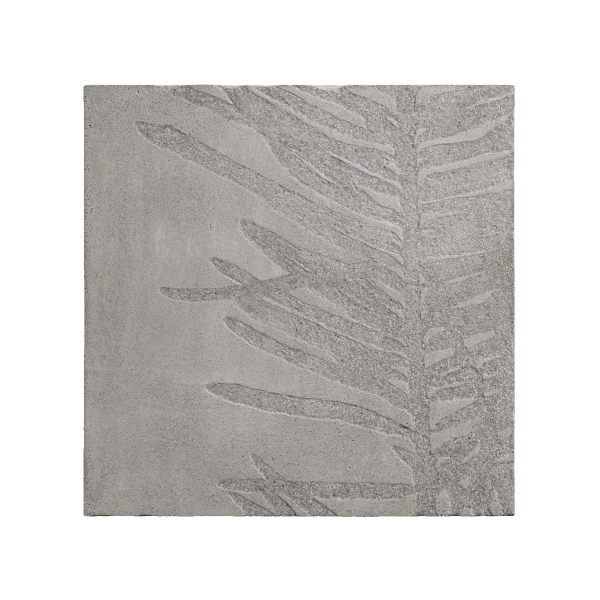 邱承宏 Chiu Chen-Hung, 北美花旗松 No. 5 North American Douglas Fir No. 5, 2019