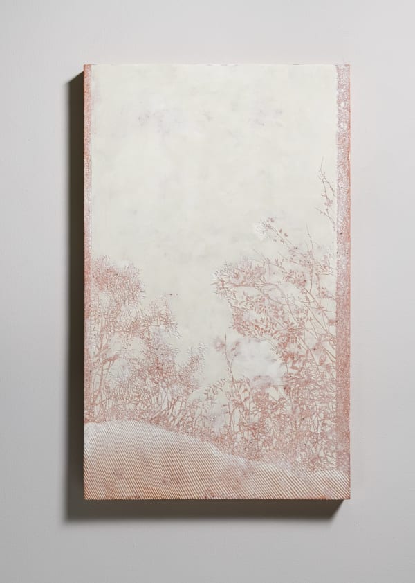 採光 No.50 Daylighting No. 50