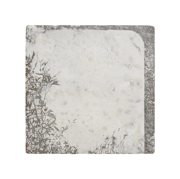 邱承宏 Chiu Chen-Hung, 採光 No. 53 Daylighting No. 53, 2024