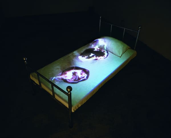 難眠的理由 The Reason for Insomnia