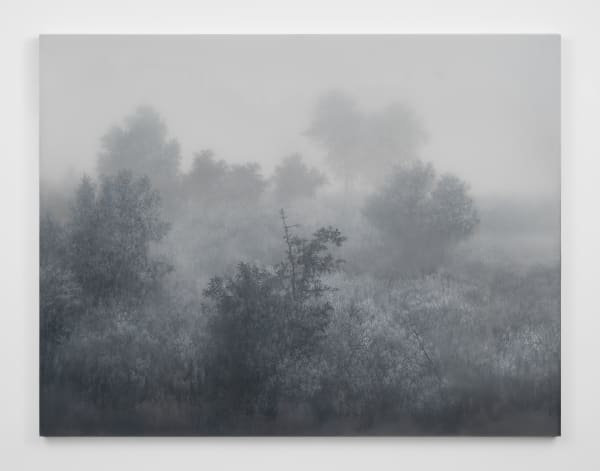 Kibong Rhee, Mistygraphy- Cut Section 4, 2024