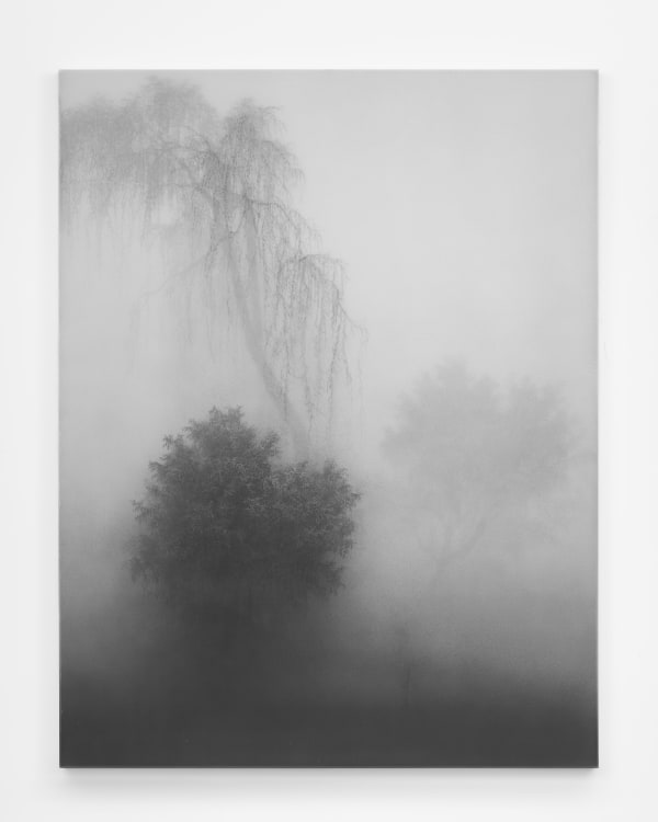 Kibong Rhee, Mistygraphy, 2024
