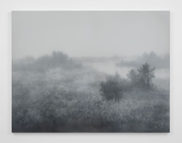 Kibong Rhee Mistygraphy- Cut Section 5, 2024 Acrylic and polyester fiber on canvas 73 1/4 x 95 in 186.1 x 241.3 cm