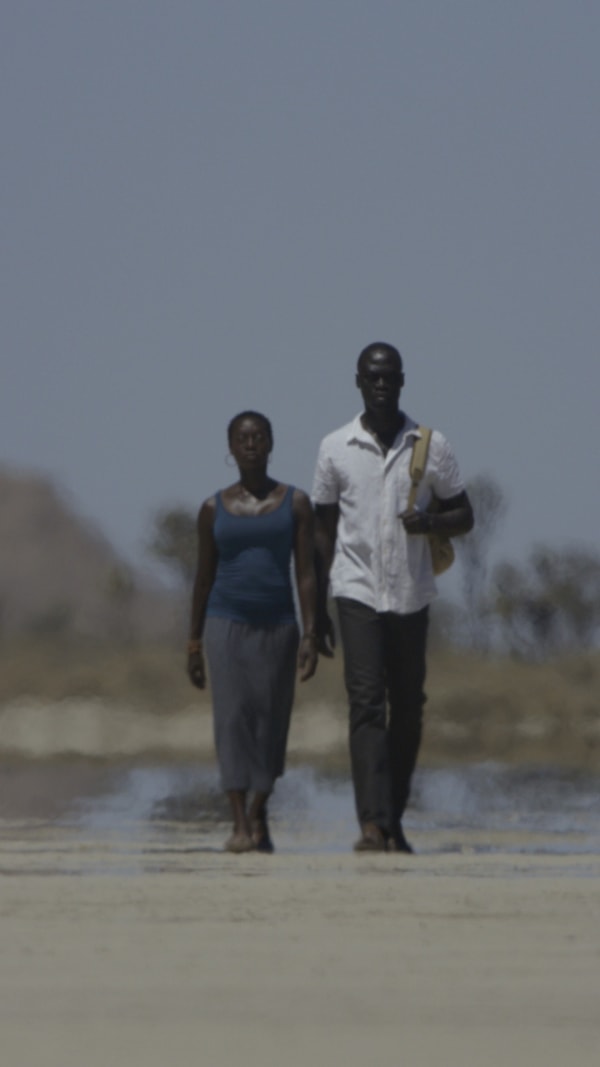 Bill Viola, Traveling on Foot, 2012