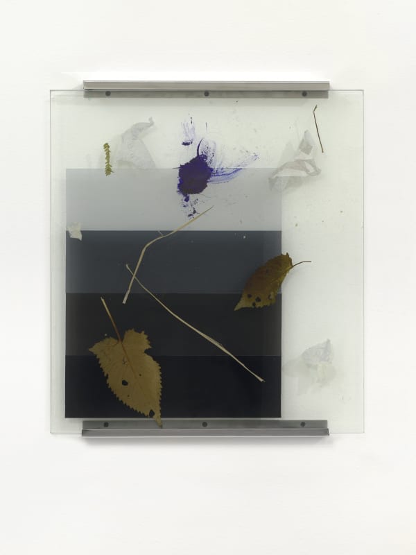 Tania Pérez Córdova, Empty days : Night falling, wind, leaves with plague, we didn’t need all those things we bought, 2022