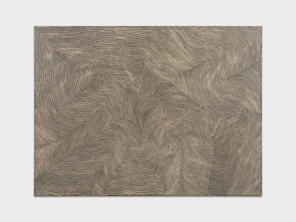 GEORGE HAIRBRUSH TJUNGURRAYI, Mamultjulkunga, 2018