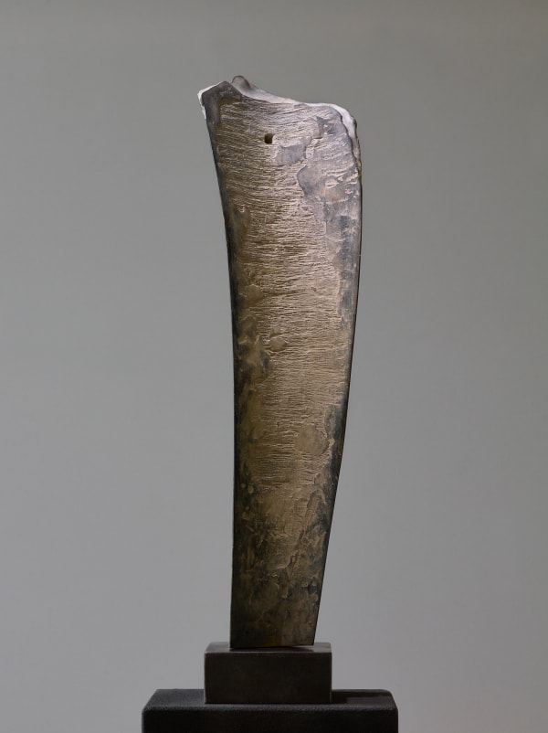 Yves Dana, Passage, 2023