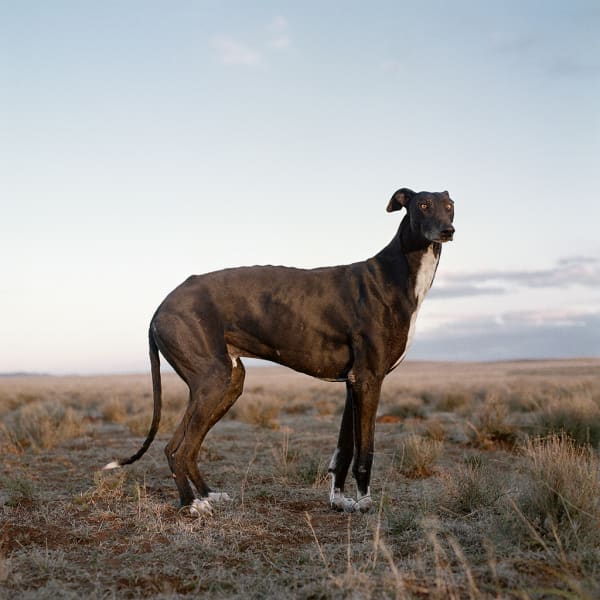 Daniel Naudé, Philippolis, Free State, 12 August 2009, 2009