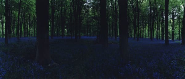 Chrystel Lebas, Blue Hour 3, 2005