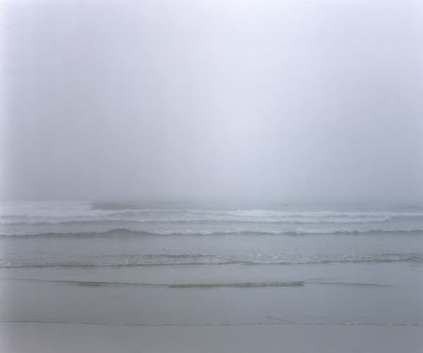 Nicholas Hughes, Untitled 26, 2005