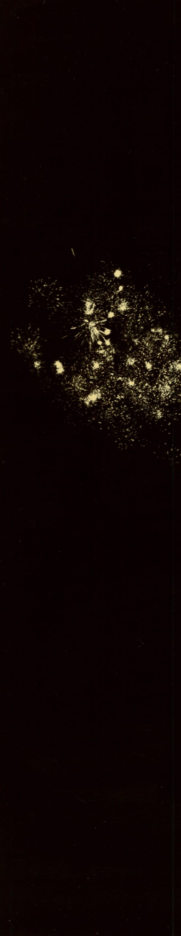 Miho Kajioka, BK0503, 2018