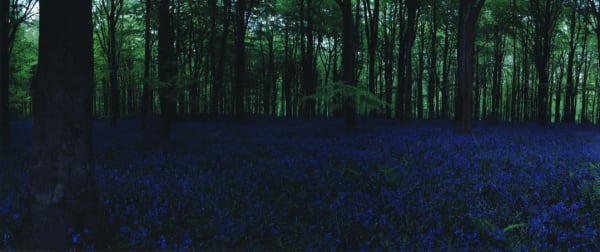 Chrystel Lebas, Blue Hour 1, 2005