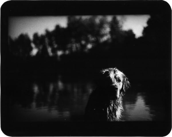 Giacomo Brunelli, Wet Dog Joyce, 2005-2009