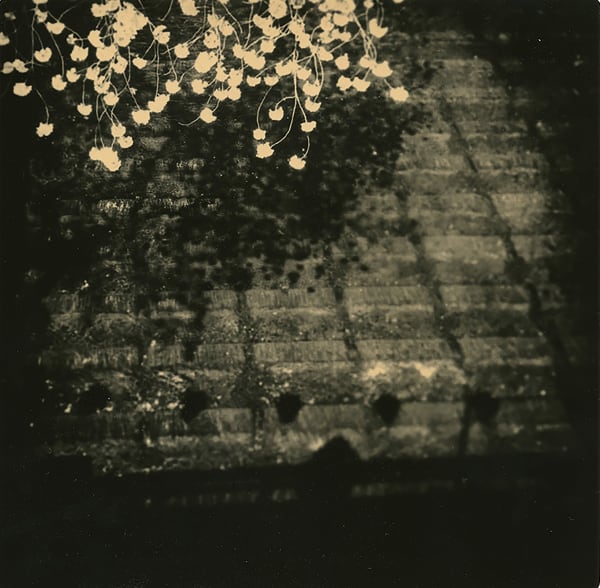 Miho Kajioka, BK0274, 2017