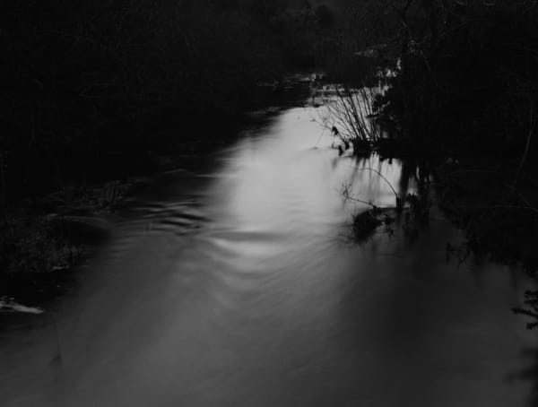 Nicholas Hughes, Verse II, #2, 2018
